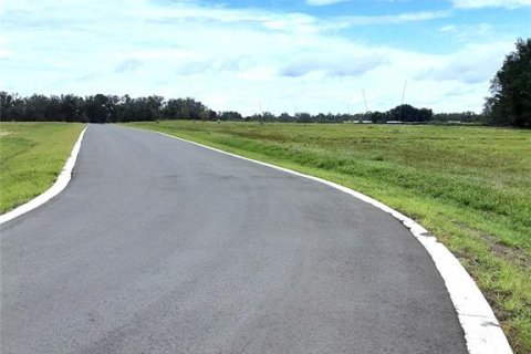 Land in Apopka, Florida № 885261 - photo 11