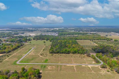 Land in Apopka, Florida № 885261 - photo 26