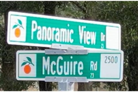 Land in Apopka, Florida № 885261 - photo 4