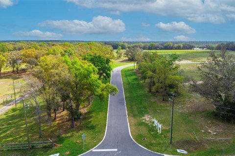 Land in Apopka, Florida № 885261 - photo 6