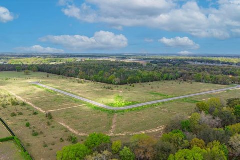 Land in Apopka, Florida № 885261 - photo 17
