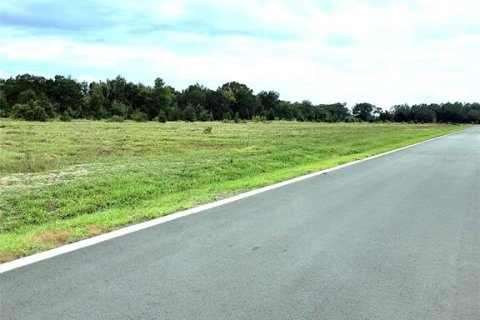 Land in Apopka, Florida № 885261 - photo 10