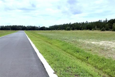 Land in Apopka, Florida № 885261 - photo 12