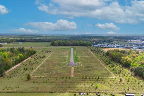 Land in Apopka, Florida № 885261 - photo 14