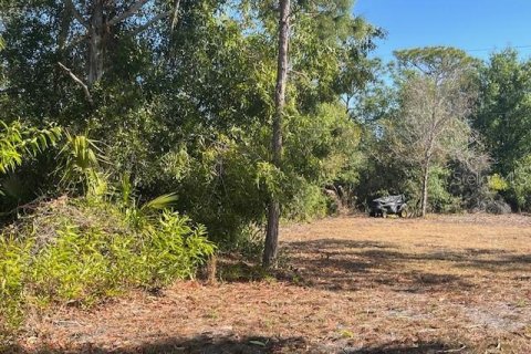 Terreno en venta en Punta Gorda, Florida № 2218936 - foto 7