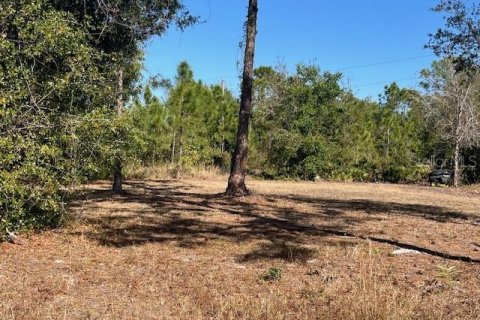 Terreno en venta en Punta Gorda, Florida № 2218936 - foto 12