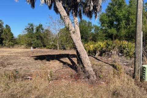 Terreno en venta en Punta Gorda, Florida № 2218936 - foto 10