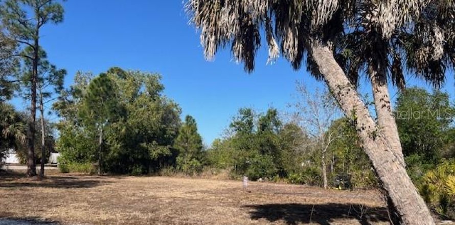 Terreno en Punta Gorda, Florida № 2218936
