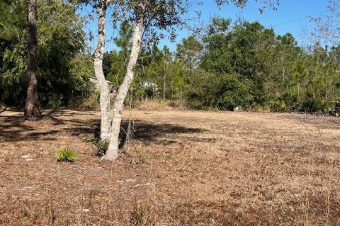 Terreno en venta en Punta Gorda, Florida № 2218936 - foto 5