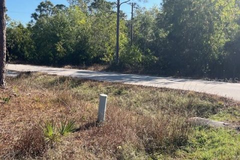 Terreno en venta en Punta Gorda, Florida № 2218936 - foto 4