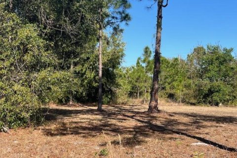 Terreno en venta en Punta Gorda, Florida № 2218936 - foto 8