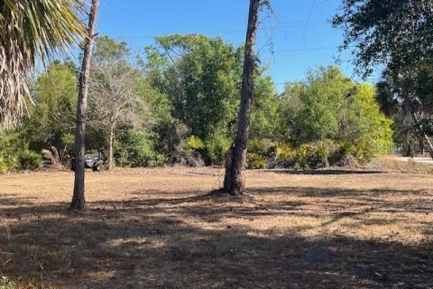 Terreno en venta en Punta Gorda, Florida № 2218936 - foto 6