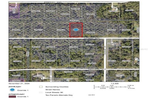 Land in Eustis, Florida № 240292 - photo 3