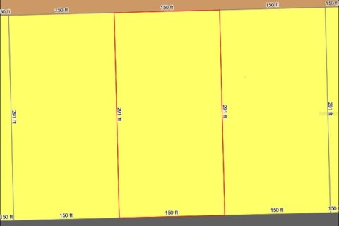 Land in Eustis, Florida № 240292 - photo 2