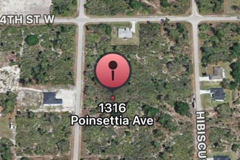 Land in Lehigh Acres, Florida № 2239921