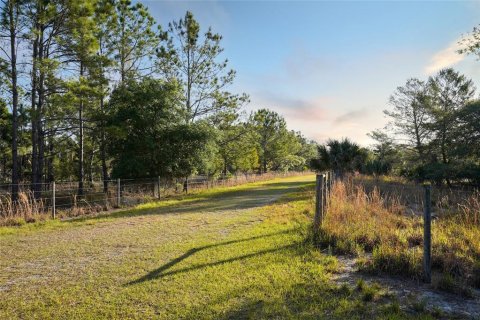 Terreno en venta en Georgetown, Florida № 1642709 - foto 26