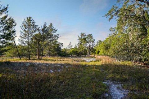 Terreno en venta en Georgetown, Florida № 1642709 - foto 29