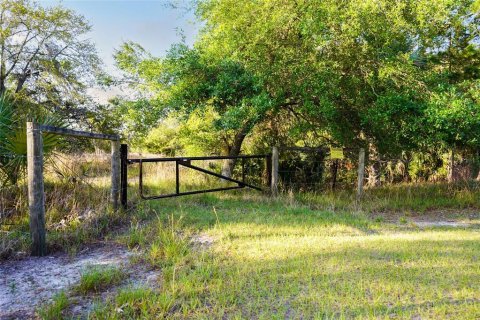 Terreno en venta en Georgetown, Florida № 1642709 - foto 25