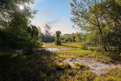 Terreno en venta en Georgetown, Florida № 1642709 - foto 28