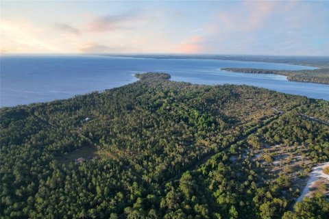 Terreno en venta en Georgetown, Florida № 1642709 - foto 5