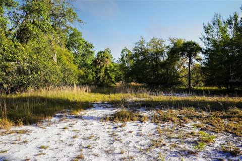 Terreno en venta en Georgetown, Florida № 1642709 - foto 30