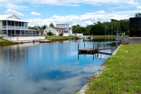 Land in Hernando Beach, Florida № 1438744 - photo 10