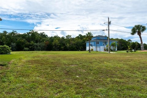 Land in Hernando Beach, Florida № 1438744 - photo 7