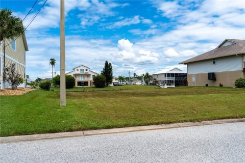 Land in Hernando Beach, Florida № 1438744 - photo 4