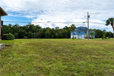 Land in Hernando Beach, Florida № 1438744 - photo 8