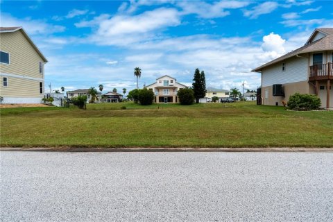 Land in Hernando Beach, Florida № 1438744 - photo 3