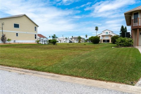 Land in Hernando Beach, Florida № 1438744 - photo 2