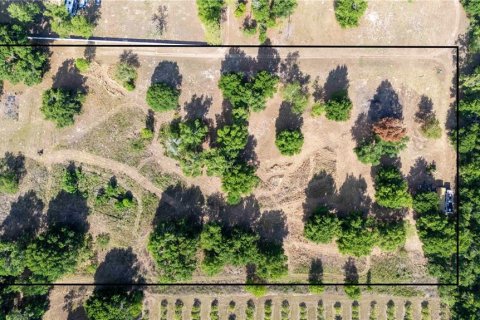 Land in Dade City, Florida № 1673835 - photo 3