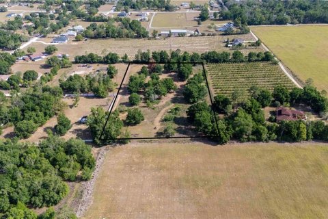 Land in Dade City, Florida № 1673835 - photo 2