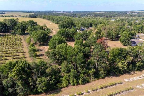 Land in Dade City, Florida № 1673835 - photo 14