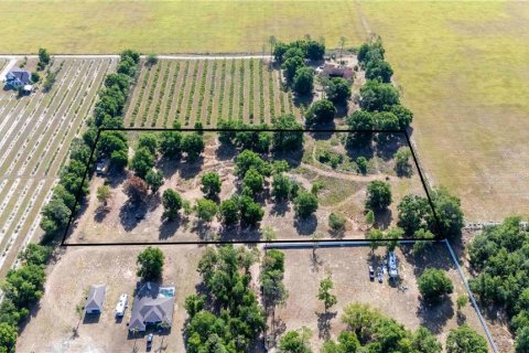 Land in Dade City, Florida № 1673835 - photo 4