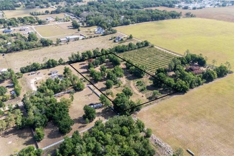 Land in Dade City, Florida № 1673835 - photo 5