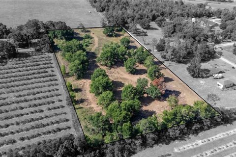 Land in Dade City, Florida № 1673835 - photo 1