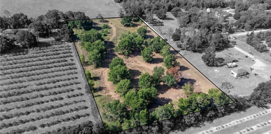 Land in Dade City, Florida № 1673835