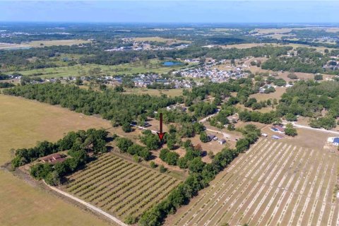 Land in Dade City, Florida № 1673835 - photo 7