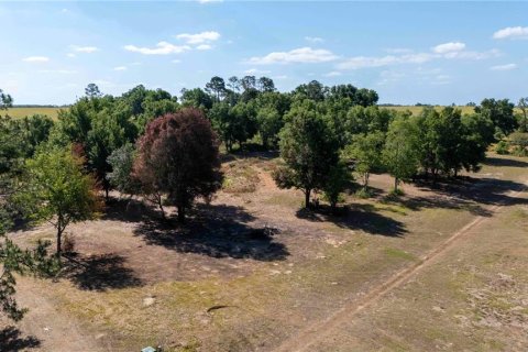 Land in Dade City, Florida № 1673835 - photo 12