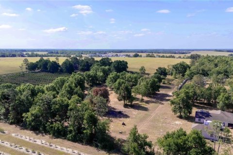 Land in Dade City, Florida № 1673835 - photo 16