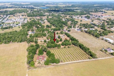 Land in Dade City, Florida № 1673835 - photo 6