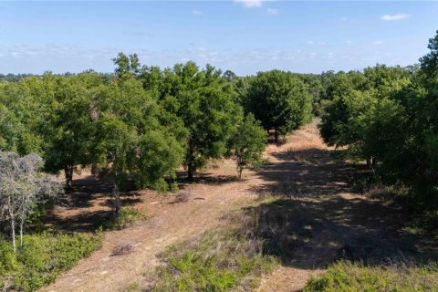 Land in Dade City, Florida № 1673835 - photo 10