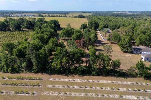Land in Dade City, Florida № 1673835 - photo 15