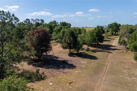 Land in Dade City, Florida № 1673835 - photo 13