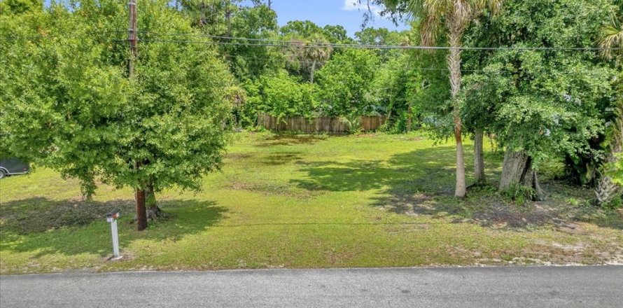 Land in New Smyrna Beach, Florida № 1767050