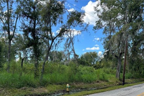 Land in Plant City, Florida № 2145338