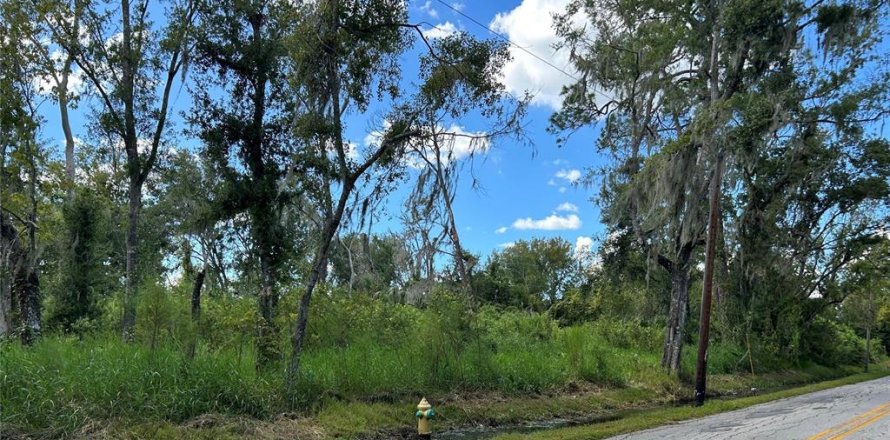 Land in Plant City, Florida № 2145338