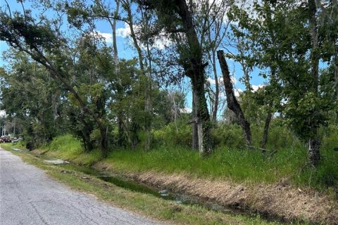 Land in Plant City, Florida № 2145338 - photo 3