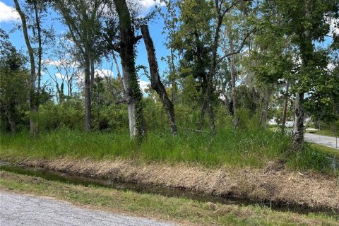 Land in Plant City, Florida № 2145338 - photo 4